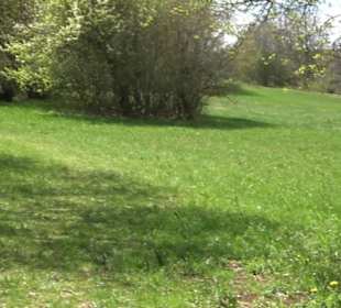 Naturreservat Beutenlay