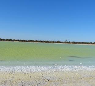 Salzsee unterhalb vom Wave Rock