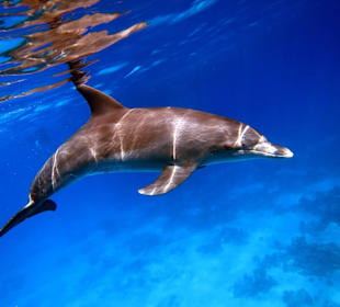 Bilder vom 13.10.16 von mir geschossen