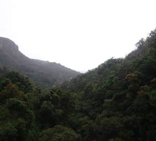 Kuranda