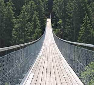 Das Highlight Hängebrücke über die Drachenschlucht