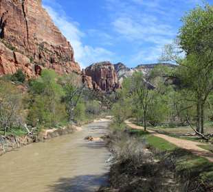 Fluss im Zion Nationalpark