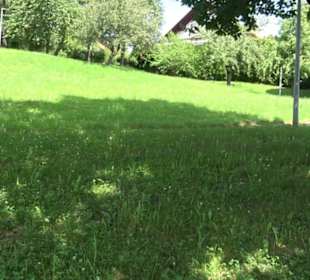 HAP Grieshaber Rundweg