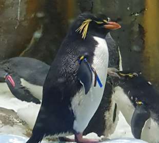 Loro Park
