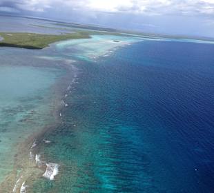 Belize Reef