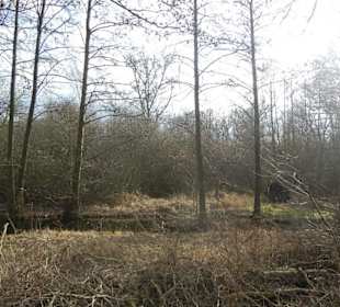 Naturschutzgebiet Boberger Niederung