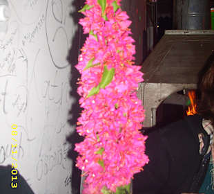 Blumen für die Gäste