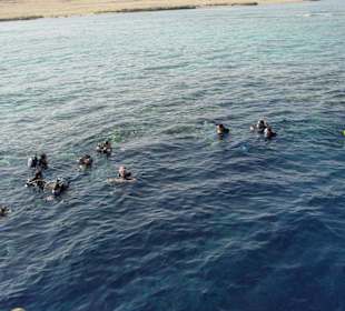 Tauch- und Schnorcheltour