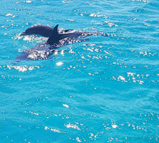 Define auf der Karibikfeelingtour