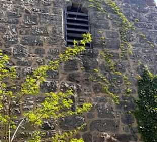 Im Turm