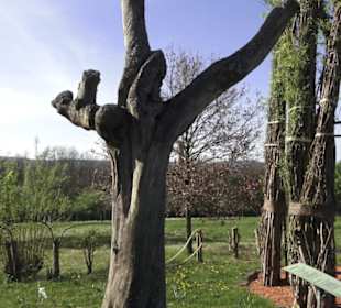 Gartenschau
