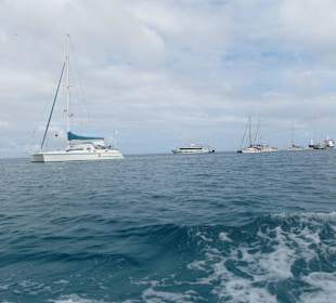 Auf dem Weg nach Isla Lobos