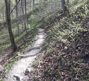Wanderweg Hochgehkämpft