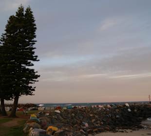 Mole von Port macquarie