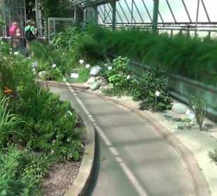 Afrikanische Landschaften