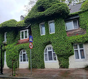 Efeuhaus Richtung Strand