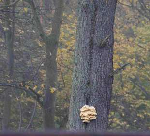 Strand Kolberg/Kolobrzeg