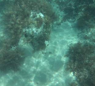 Glasbodenboot Tour Lindos