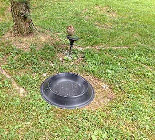 So werden sie gehalten mies oder