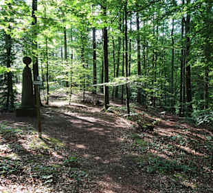 Rundgang durch den Landschaftsgarten Bettenburg