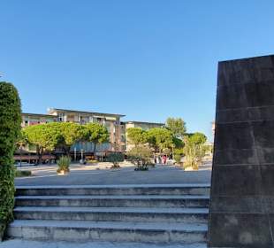 Fontänen-Platz viel Efeu 