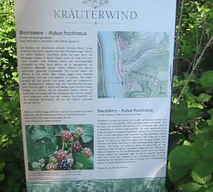 Impressionen Kräuterweg in Assmannshausen