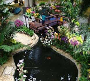 Bassin à l'aéroport de Singapour