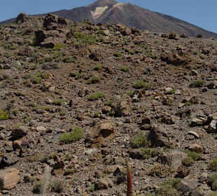 Teide