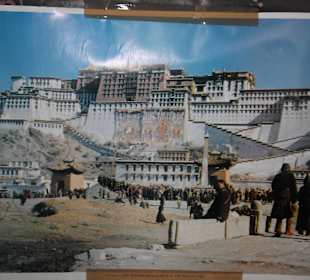 Tibetan Refugee Self Help Center