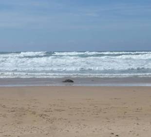Strand / Küste vor dem Restaurant O Zé
