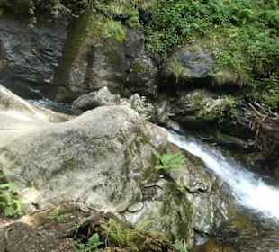 Am Moosbach entlang zum Hochfall-Wasserfall