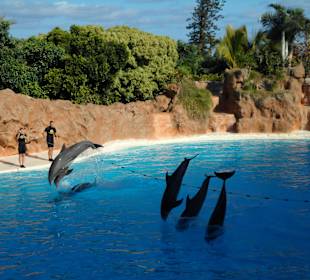 Loro Parque 