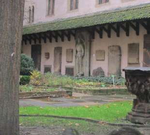 Impressionen aus Straßburg