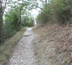 Wanderweg zur Achalm