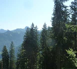 Bei einer Wanderung vom Söllereck zum Freibergsee