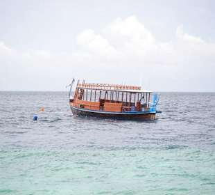 Delfinfahrt