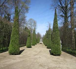 Schlossgarten Schwetzingen