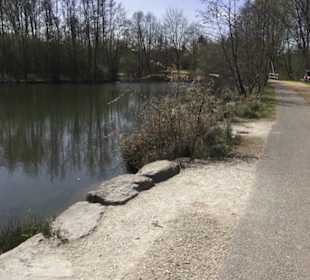 Sport- und Freizeitpark Markwasen