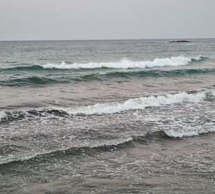 Strand Stalis