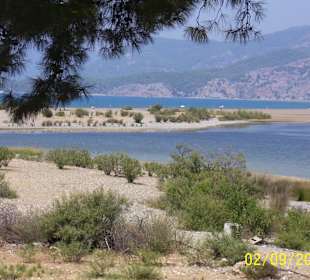 In Dalyan