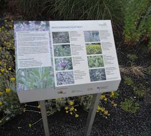 Infotafeln im Kräuterlehr- und Schaugarten