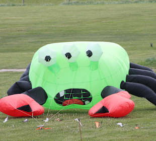 Drachenfest Krabbe
