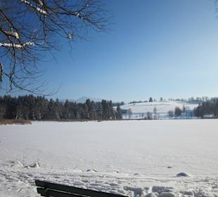 Blick aufs Hörnle