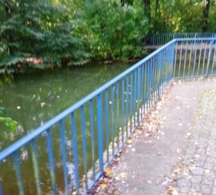 Herbstimpressionen am Wehr
