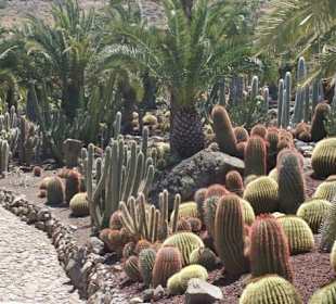 Kakteenpark
