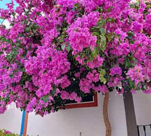 Altstadt Puerto de Mogán