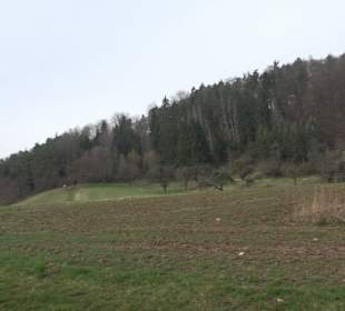 Wandergebiet Himbachtal
