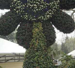Eingang Insel Mainau