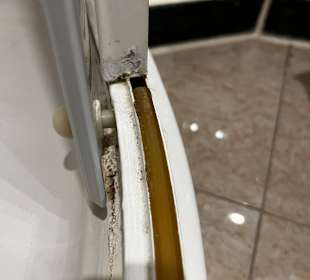 Schimmel in der Dusche