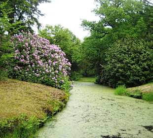 Schlosspark Lütetsburg